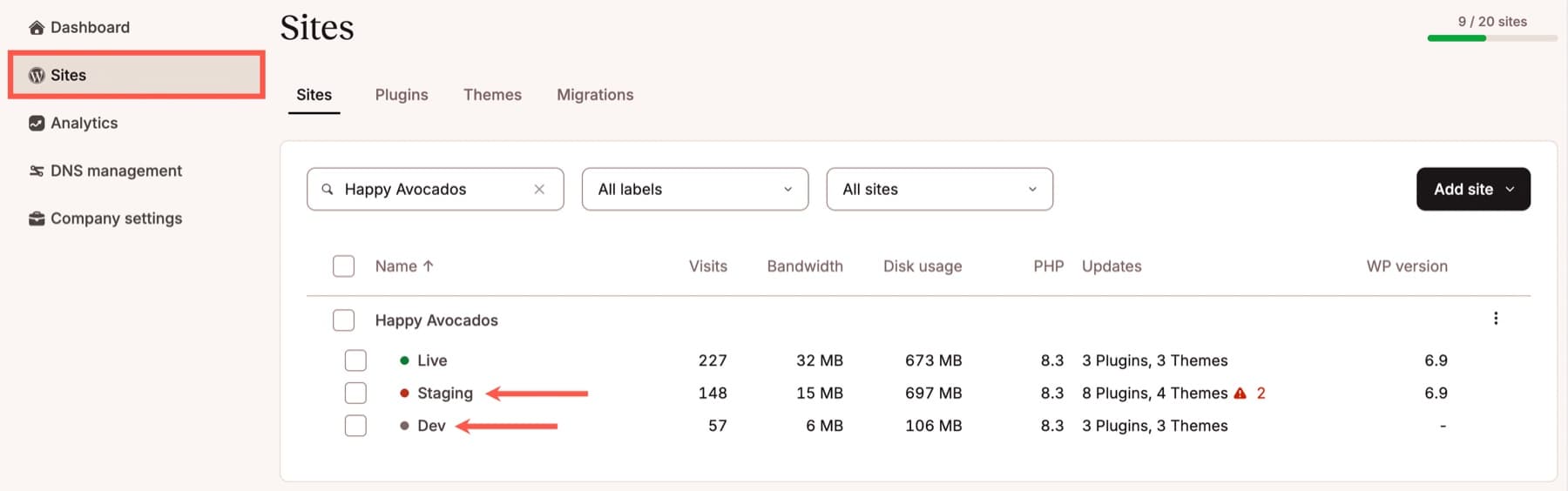 MyKinsta site with Live, Staging and Dev environment rows